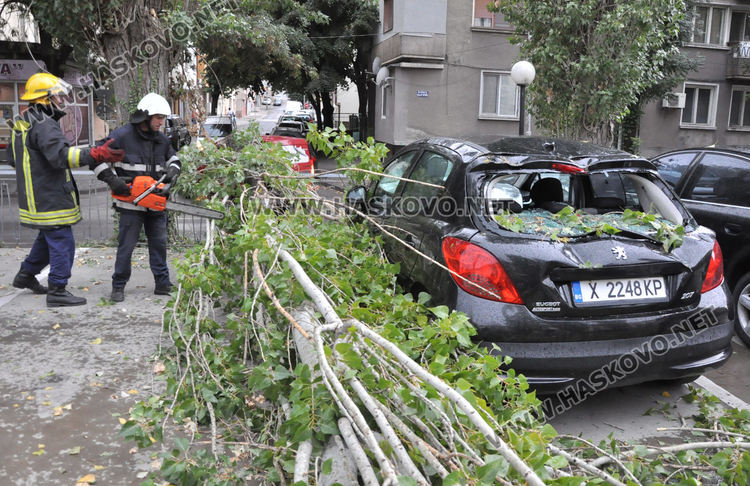 Клон от топола падна върху кола на паркинг пред полицията в Хасково