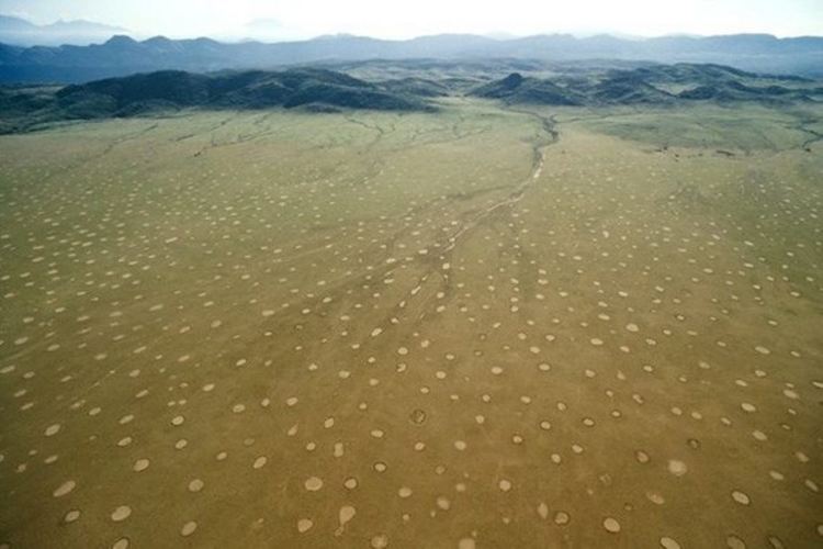 Тайнствените кръгове (fairy circles) покриват тревистите степи на Намибия на площи от няколко хиляди километра. Срещат се и в Ангола и Южна Африка. Те достигат от 2 до 15 м в диаметър. Вътре в загадъчните кръгове нищо не расте. За първи път за тях е съобщено през 1971. Учените не могат напъно да обяснят това природно явление Сн.: pinterest.com