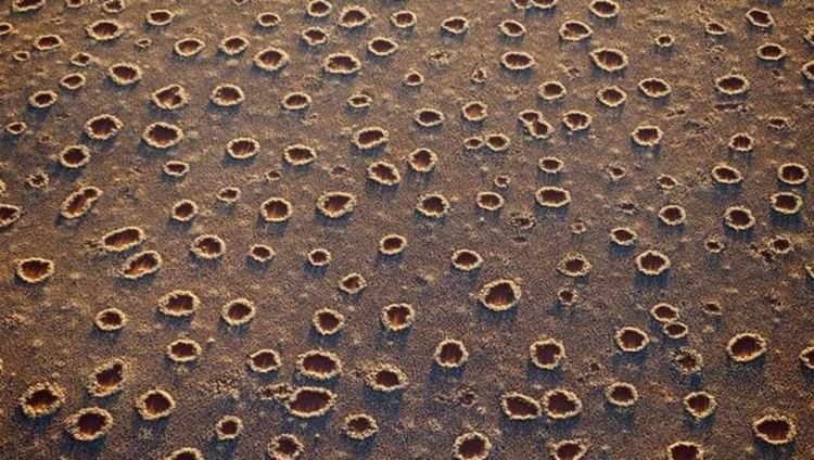 Мистериозните кръгове в Намибия. Сн.: Pinterest