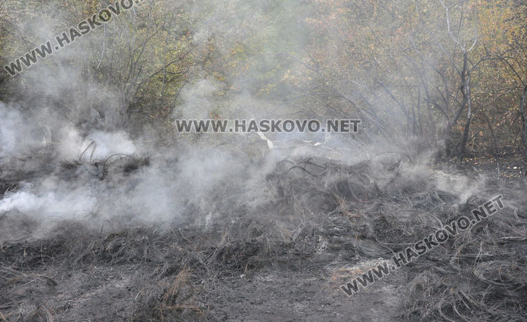 Подпалиха гуми в гората между Въгларово и Болярово