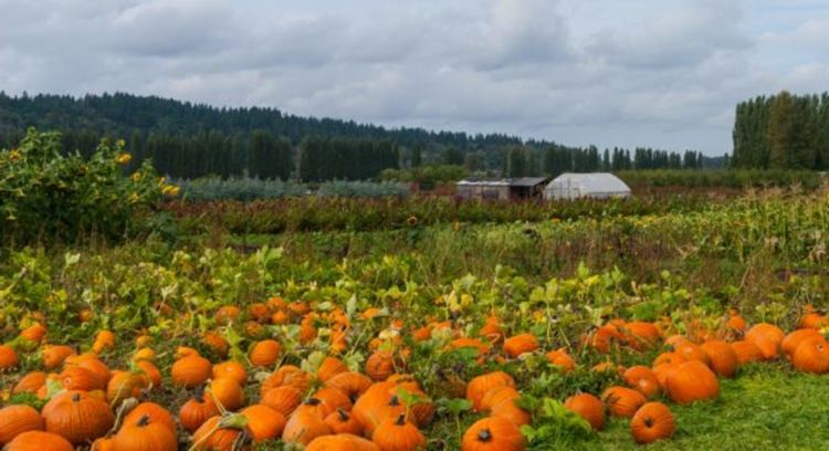 Облачно и ветровито
