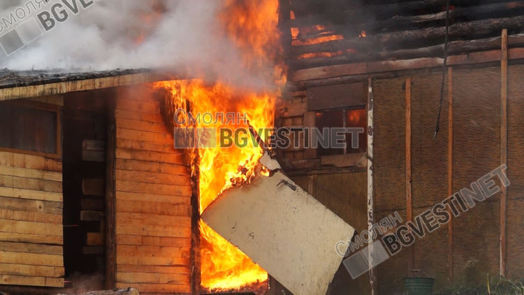 Домашни животни изгоряха при пожар в Маданско