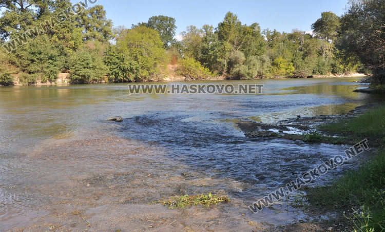 Изследват водите на р. Марица заради умряла риба