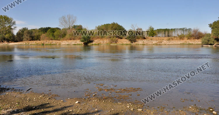 Изследват водите на р. Марица заради умряла риба