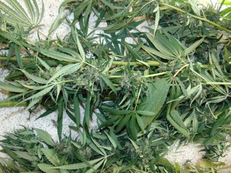 Братя в ареста за незаконен боен арсенал