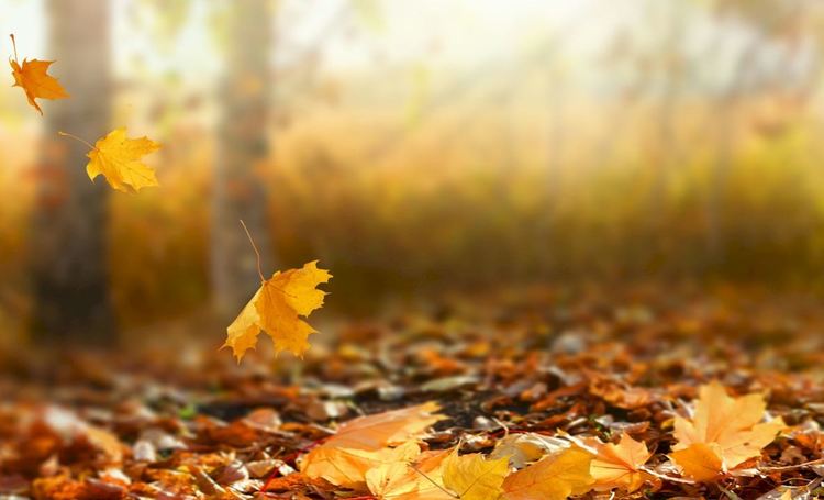 Слънчево над Южна България, облаци и дъжд на север