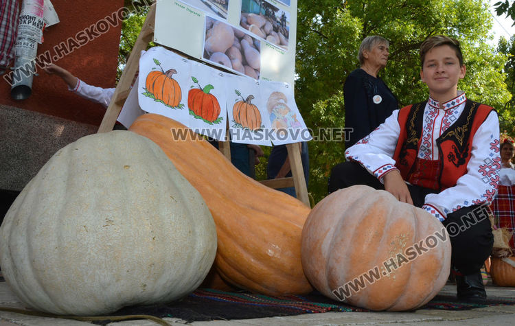27,5 кг тиква показаха на Празника на тиквата в Горски извор