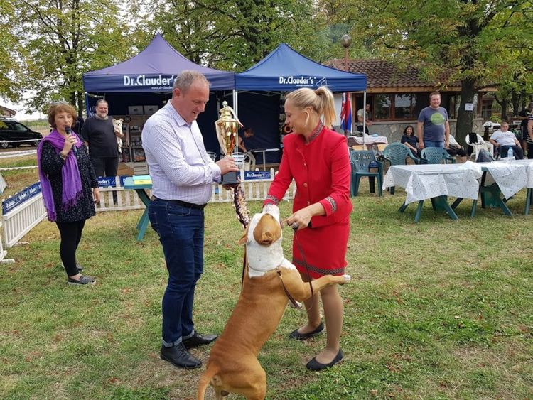 Айс е името на големия победител на киноложката изложба