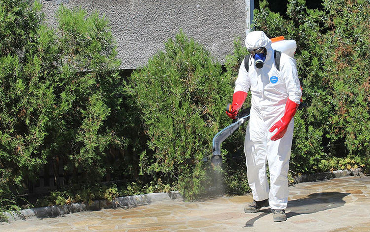 Дезинфекцират Ивайловград и проверяват с полиция за носенето на маски 