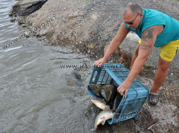 28-килограмов толстолоб и 18-килограмови амури вадят от язовира край Конуш