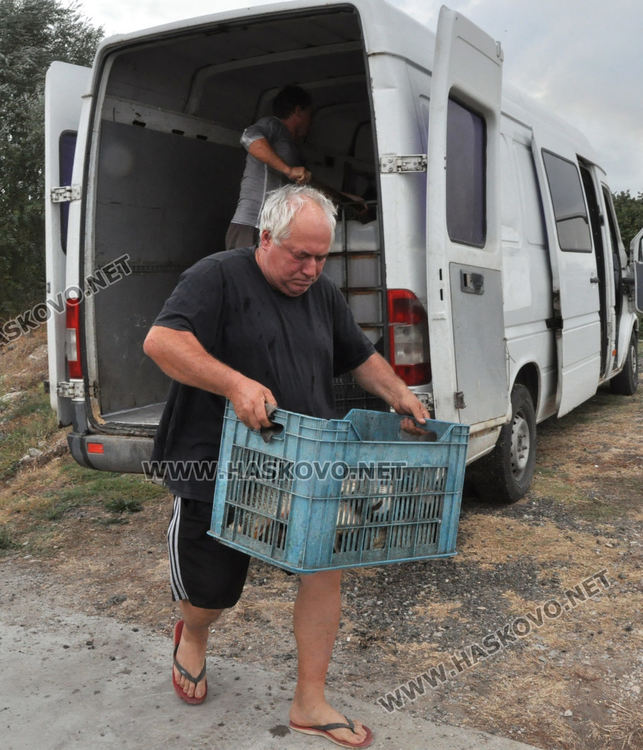 28-килограмов толстолоб и 18-килограмови амури вадят от язовира край Конуш