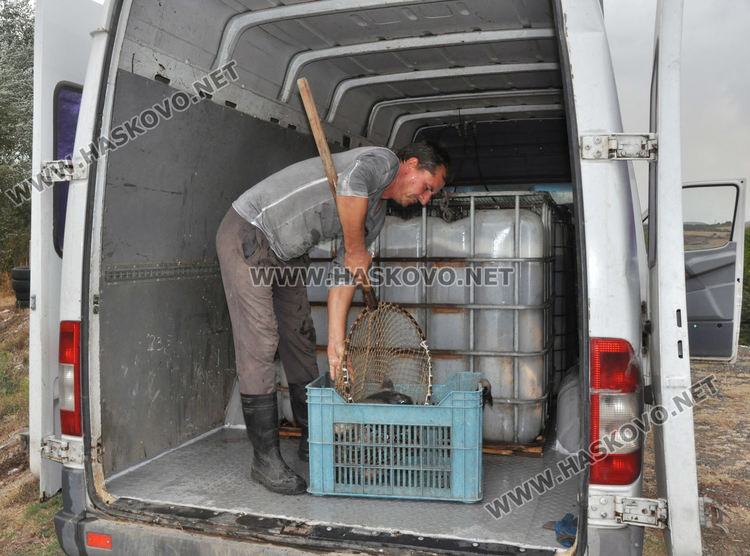 28-килограмов толстолоб и 18-килограмови амури вадят от язовира край Конуш