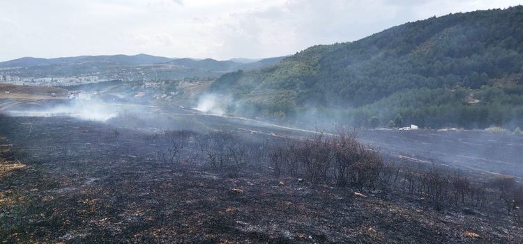 25 огнеборци гасиха вчера 512 дка запалени сухи треви и храсти в областта