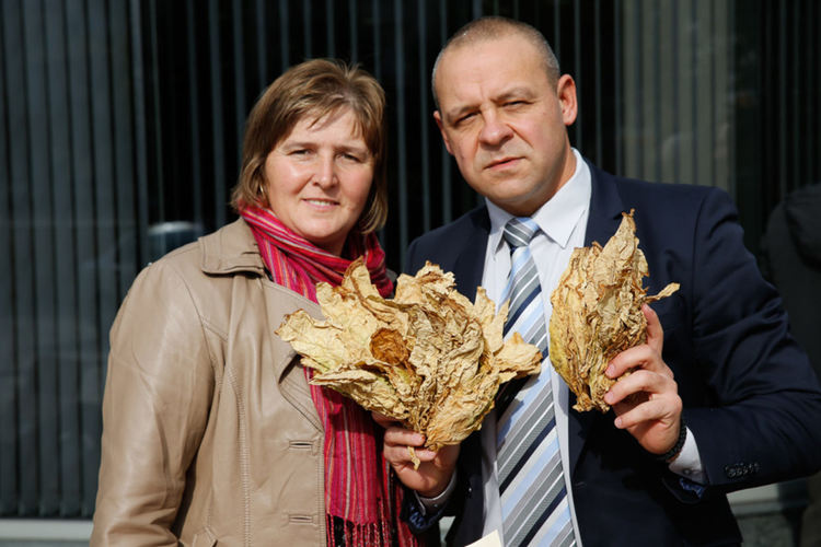 Приключи беритбата на тютюн реколта 2020 в България