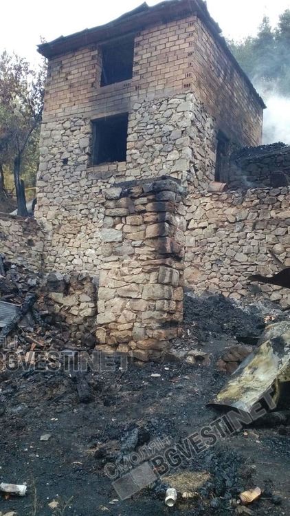 Снимка: Едита Текьова