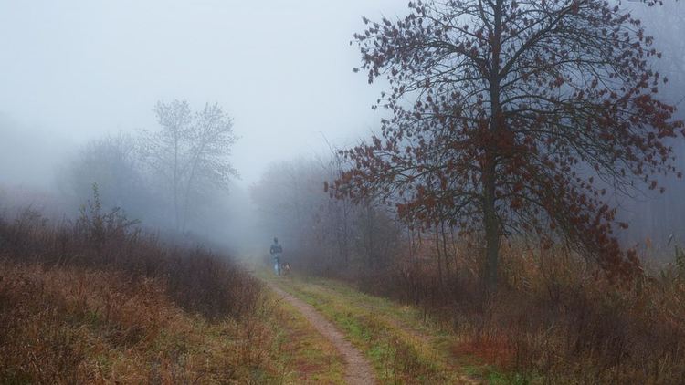 Мъгли сутринта, слънчево в неделния ден