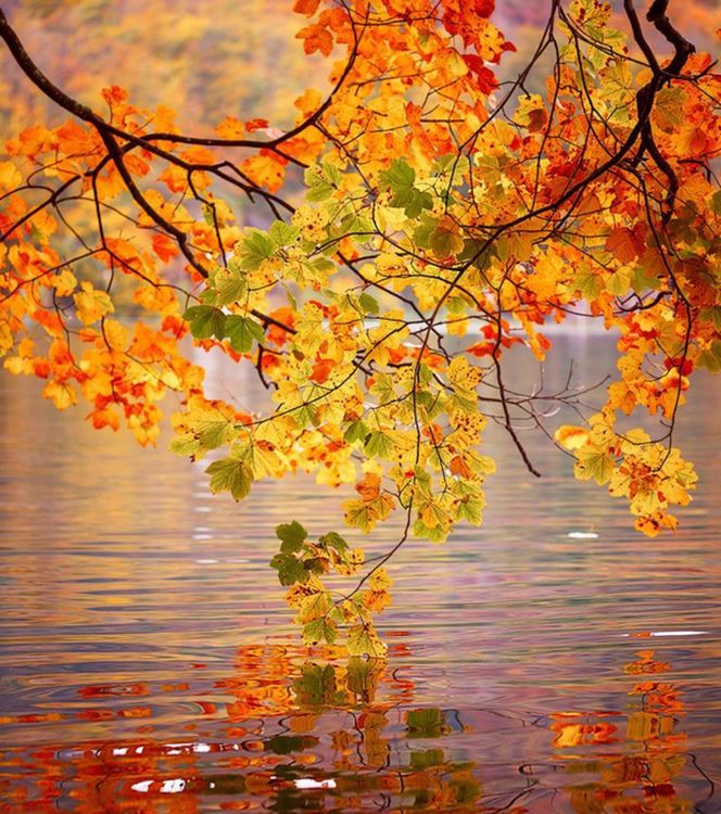 Слънчева и приятно топла неделя