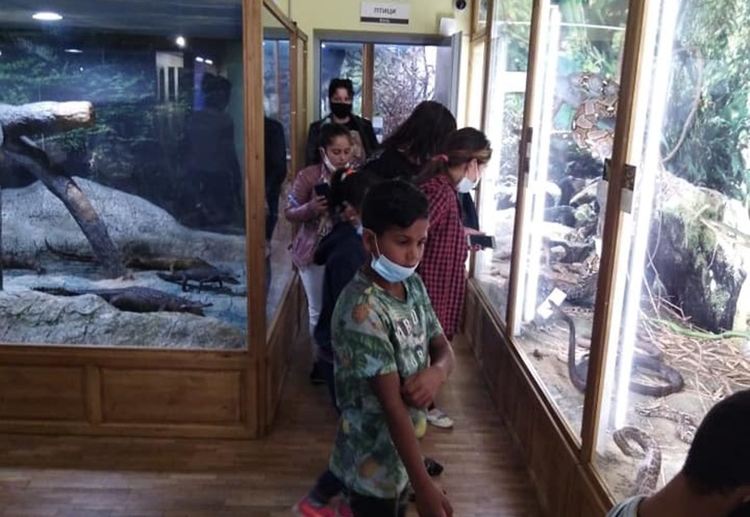 Ученици откриха нови начини за оползотворяване на свободното време - в музея или на кино