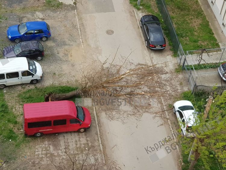 21 сигнала до Пожарната заради силния вятър, паднаха дървета,скъсаха се проводници,летяха ламарини