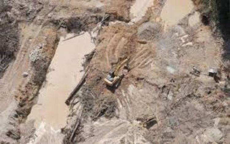 Пандемия: В Южна Америка започна златна треска