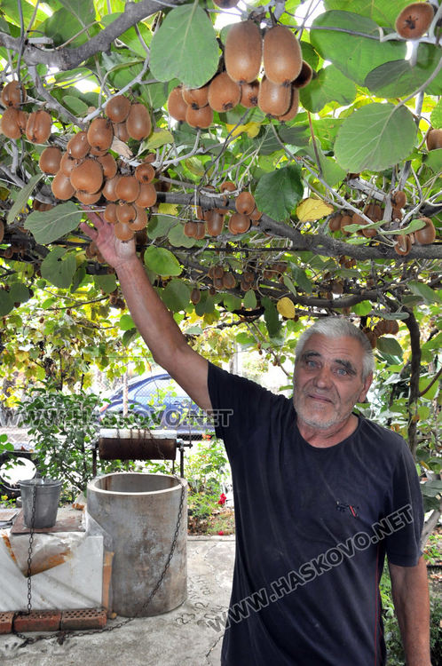 Младен Талев