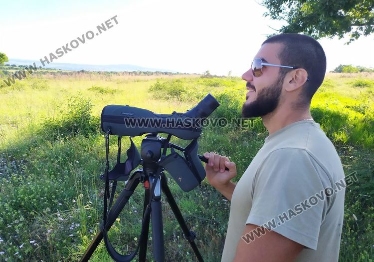 Български орнитолози учат турски специалисти да строят изкуствени орлови гнезда