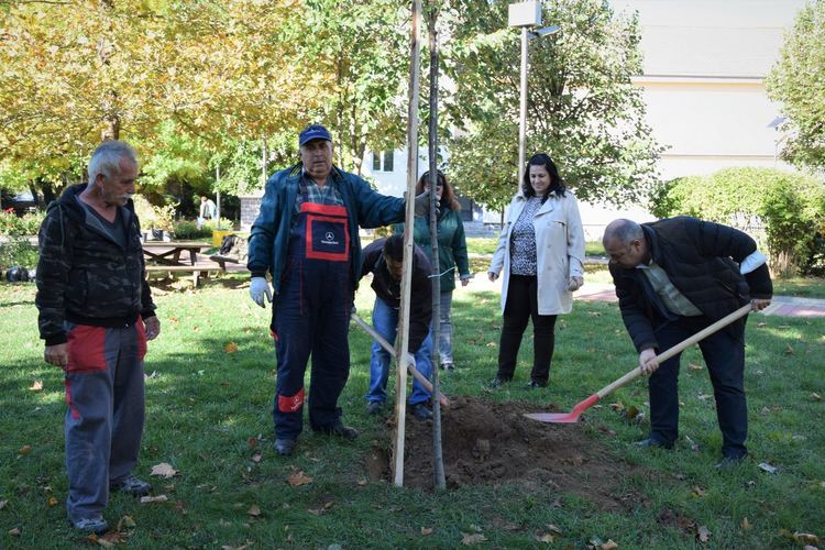 Кметът на Ардино инж. Изет Шабан засади индийски люляк в градския парк