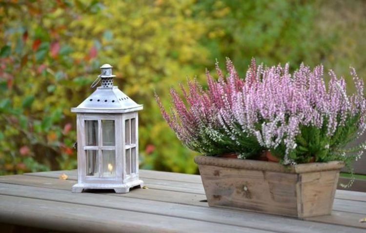 Променлива облачност, но се затопля