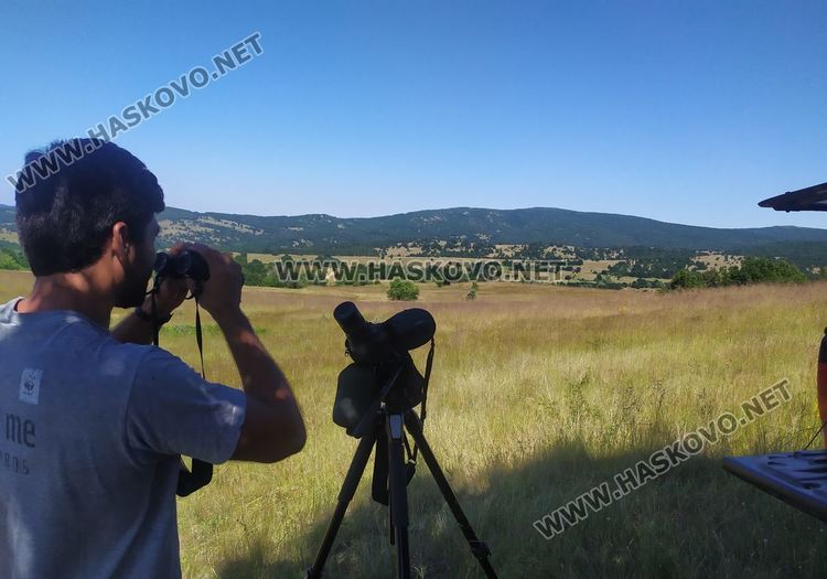 Български орнитолози учат турски специалисти да строят изкуствени орлови гнезда