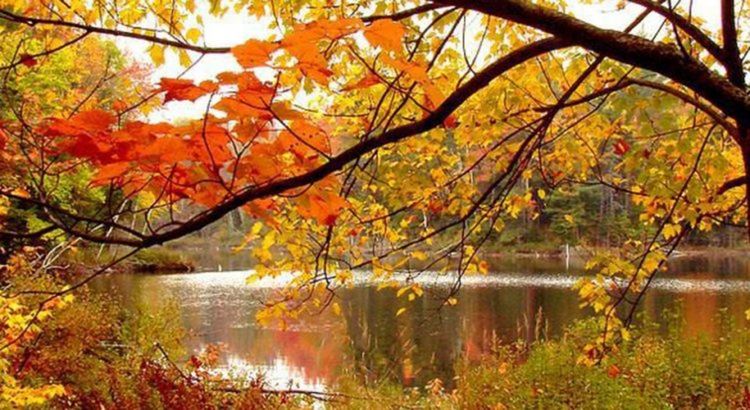 Слънчев и топъл петък