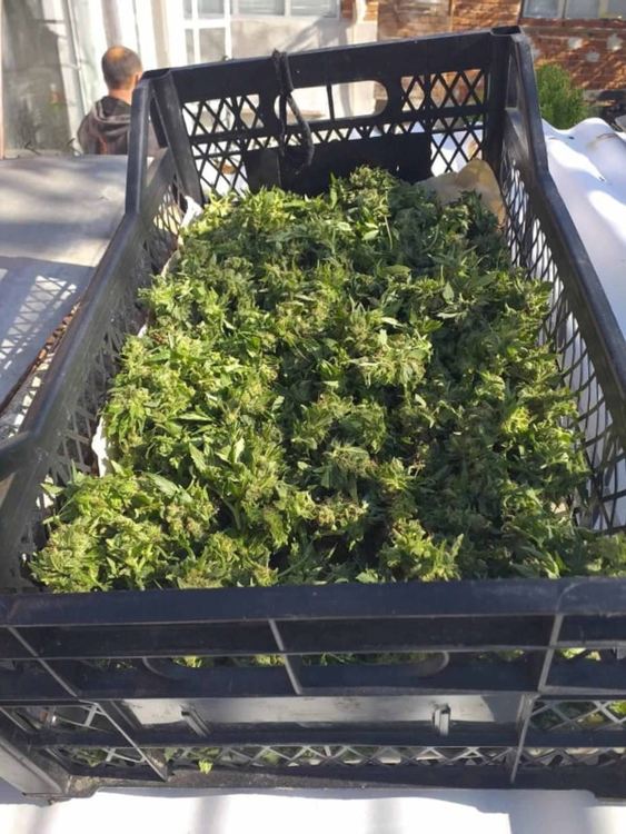 Снимки: МВР - Хасково