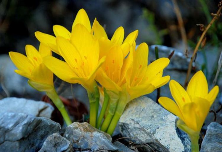 Облачно и с превалявания