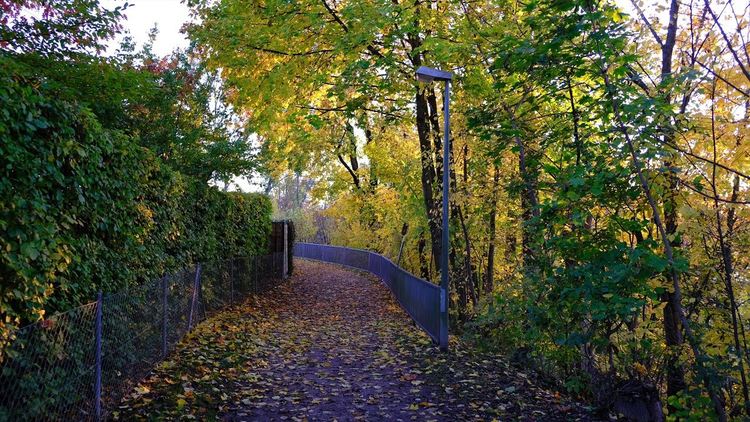 Превалявания, облаците се разкъсват следобед