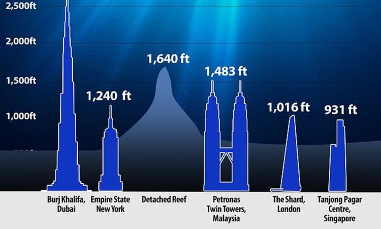 Oткриха подводен небостъргач от корали край Австралия