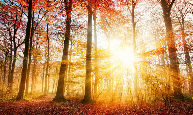 Слънчево и топло