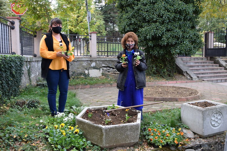 Украсяват с есенни цветя парковете и зелените площи в Ардино