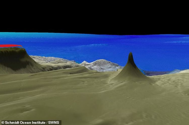 Oткриха подводен небостъргач от корали край Австралия