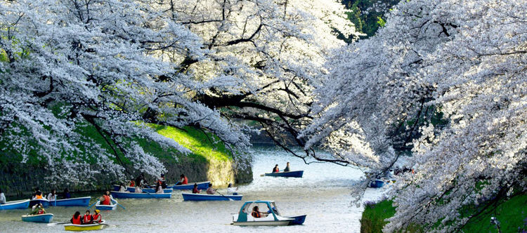 Дивата Азия по Viasat Nature, австралийски тандеми по Viasat Explore през ноември