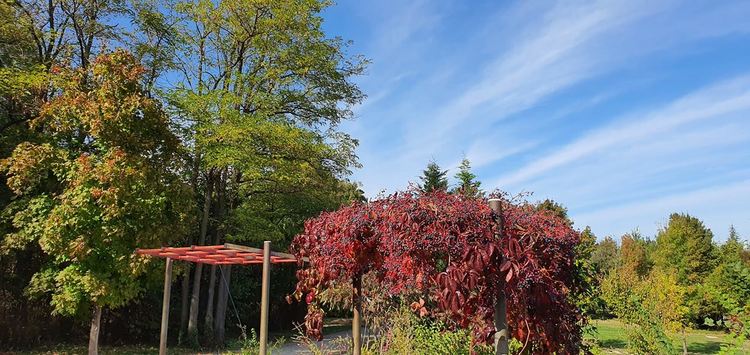 Променлива облачност с умерен вятър в петък