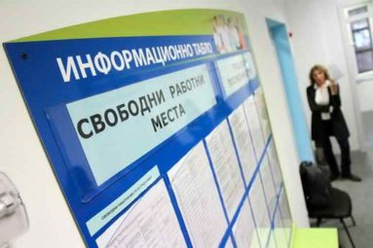 Търсят експерт в офис за военен отчет, две медицински сестри и лаборант