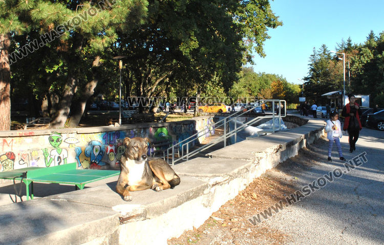 Оживление на „Кенана“ в слънчевата неделя