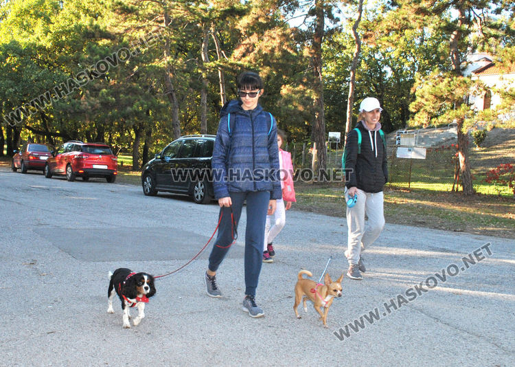 Оживление на „Кенана“ в слънчевата неделя