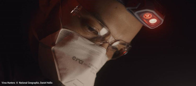 Ловци на вируси по NG през ноември