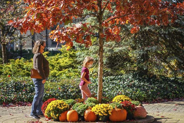 Слънчево със слаб вятър