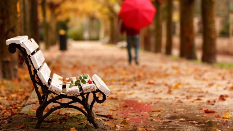 Хладно днес с  валежи