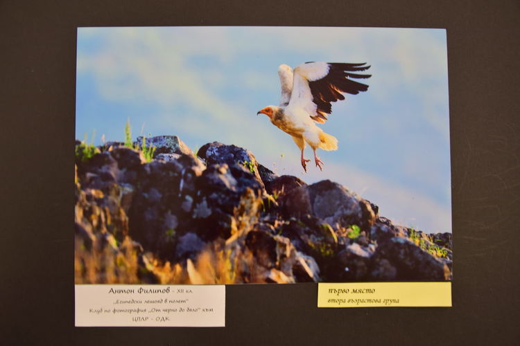 1180 рисунки и 647 фотографии от цялата страна участваха в   ХІІІ-тия Национален празник на детското изкуство „Вълшебният свят на Родопите - Кърджали 2020“