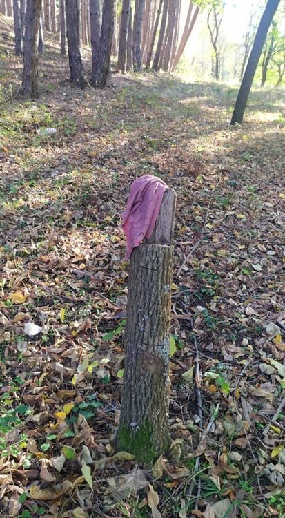 Кърджалийци се самоорганизират във Фейсбук за почистване на парк Простор, мръсотията непоносима