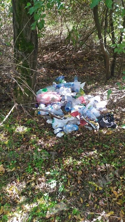 Кърджалийци се самоорганизират във Фейсбук за почистване на парк Простор, мръсотията непоносима