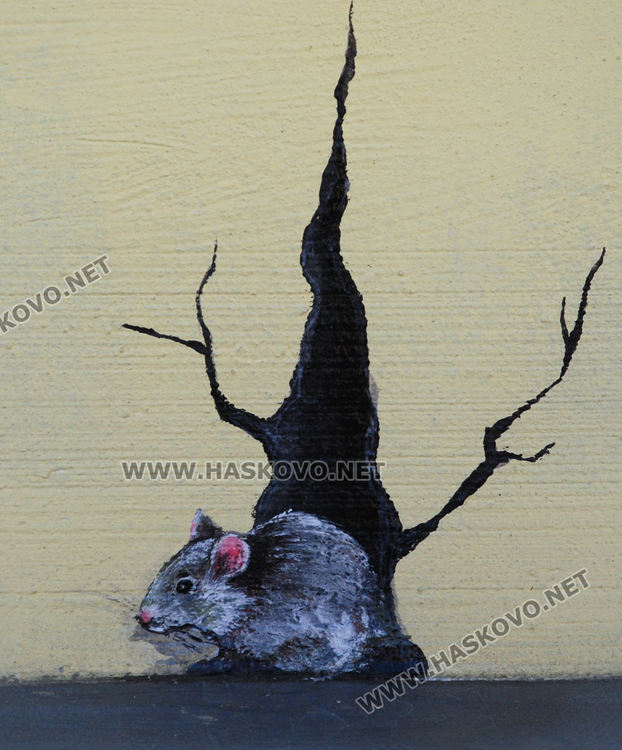 Стрийт художничка от Димитровград превръща в арт пространства улици на Хасково