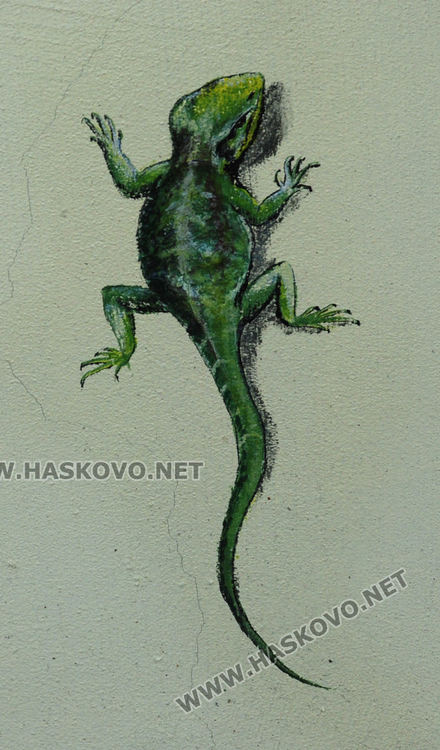 Стрийт художничка от Димитровград превръща в арт пространства улици на Хасково